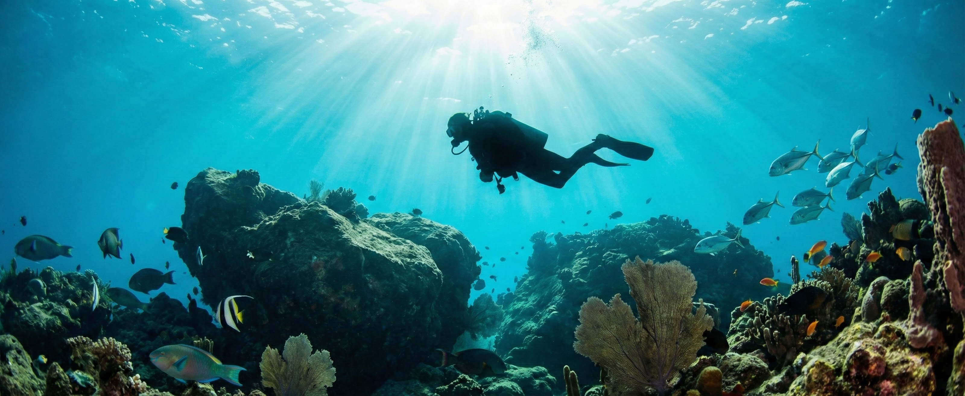 Crystal clear waters for snorkeling in Cabo